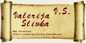 Valerija Slivka vizit kartica